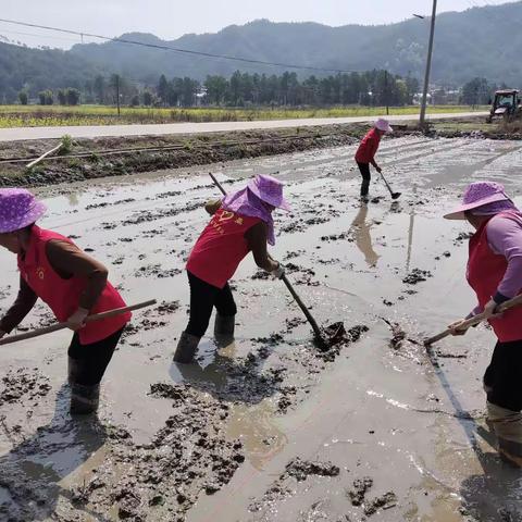 『盘古山镇和平村文明实践站』开展“春管春耕促生产，相约春暖备耕忙”活动