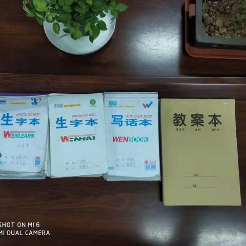 期中督评促成长，春风化雨育新人——子午街道张村小学迎接新教师教学常规工作检查