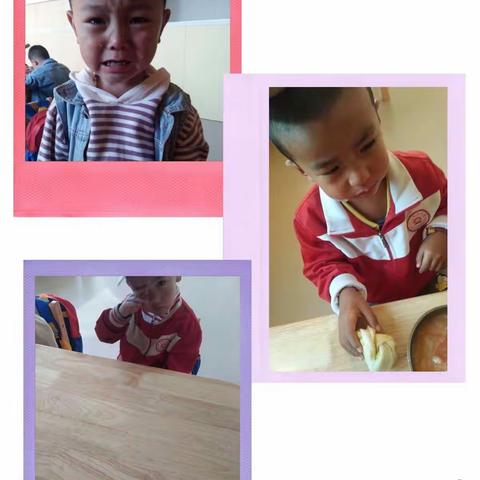 哈达铺向日葵幼儿园小班成长记录