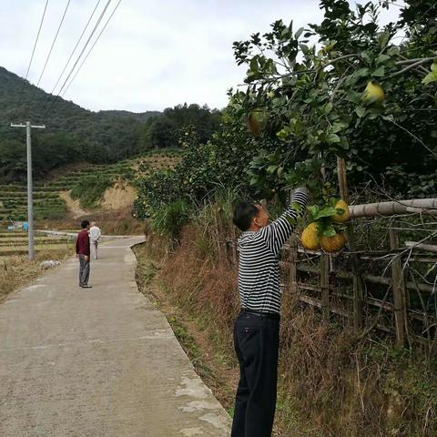 井背岭半日游