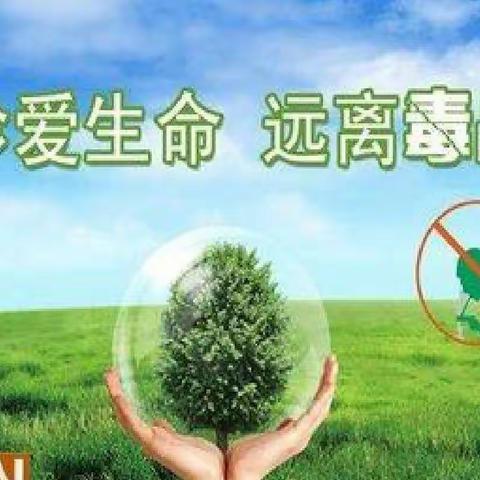 珍爱生命，远离毒品——汪家铺乡二中禁毒教育纪实