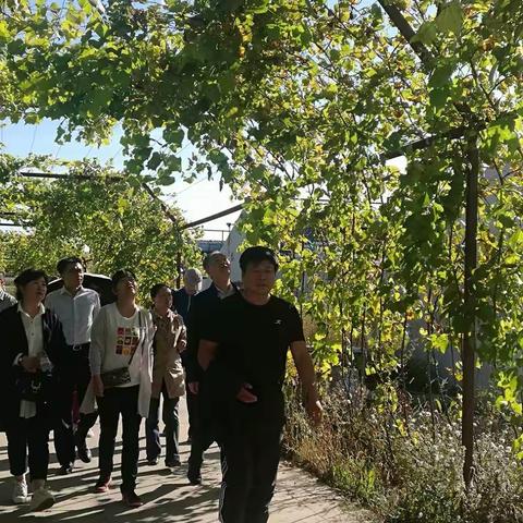 营业部私人银行中心助力人民广场支行开展金秋采摘活动