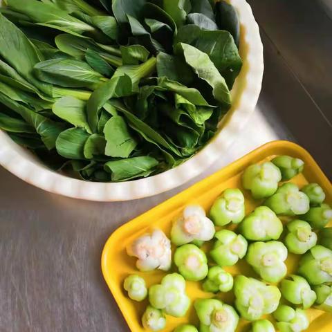 新课堂☞新体验之➡️白菜大变身