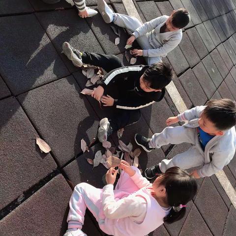 五班欢乐之❣️树叶变变变