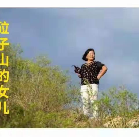 中国网上电视台东北采编中心的美篇