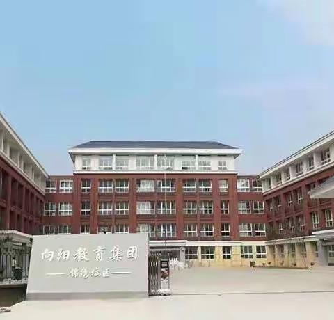 凝心聚力促“双减”，多彩活动助成长——汝州市向阳小学落实“双减”工作纪实