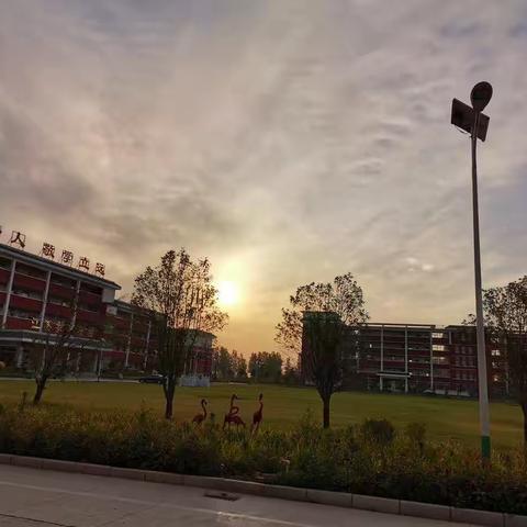 舞钢市新时代国际学校六（7）班第十八周工作简报