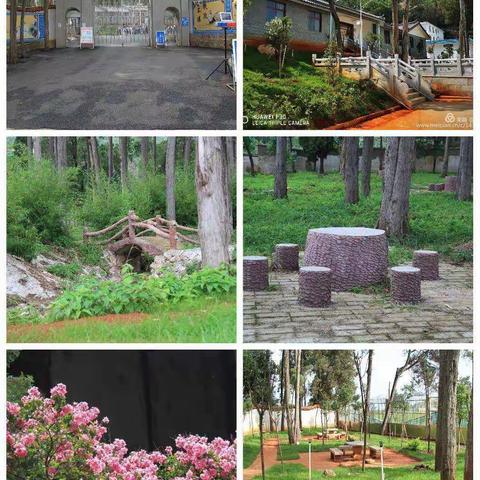 风劲帆满踏新征，砥砺奋进正当时 ——澄江市路居镇中学2022年招生简章