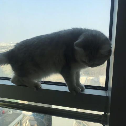 看看窗外的好风景！