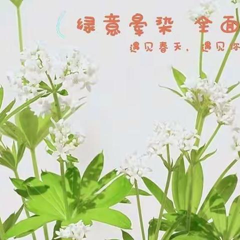绿意晕染 全面发展