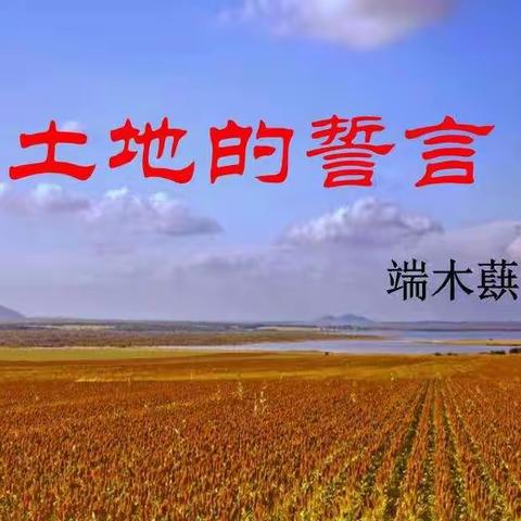 “书声 心声”课文好声音