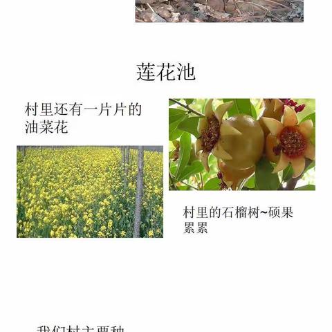 我的家乡——北极星家长讲述故事（三）
