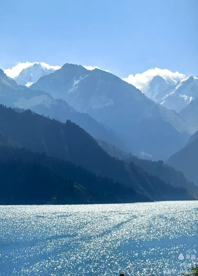 新疆天山天池连枝数