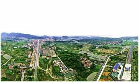 党建引领“三镇一堡” 绘就沼山“五色”画卷