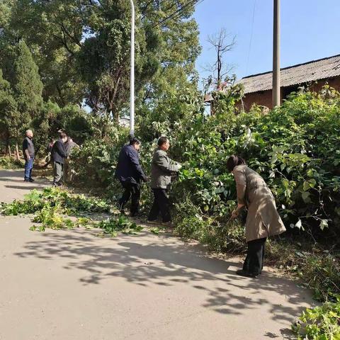 【我为群众办实事】撸起袖子加油干，洁净家园靠大家