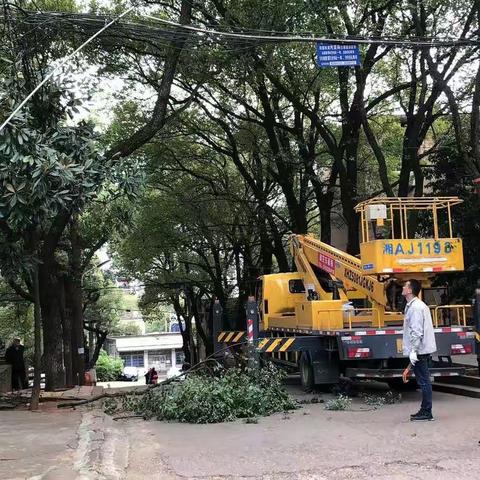 【我为群众办实事】清理楼栋大树枯枝 为民消除安全隐患