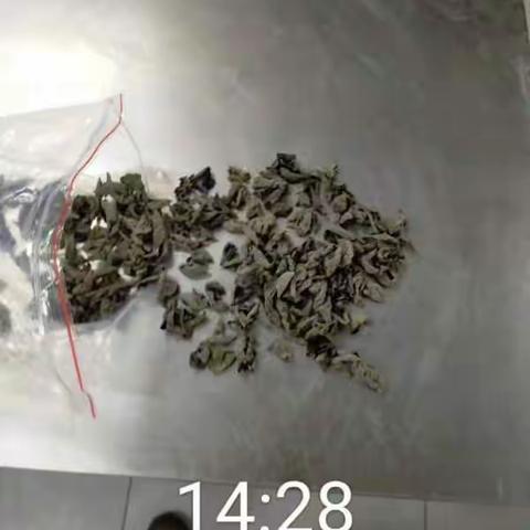 EA211餐厅异物挑选2月27日