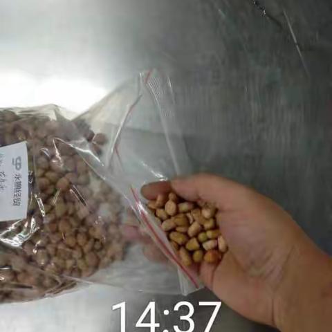 EA211餐厅异物挑选2023.3.4