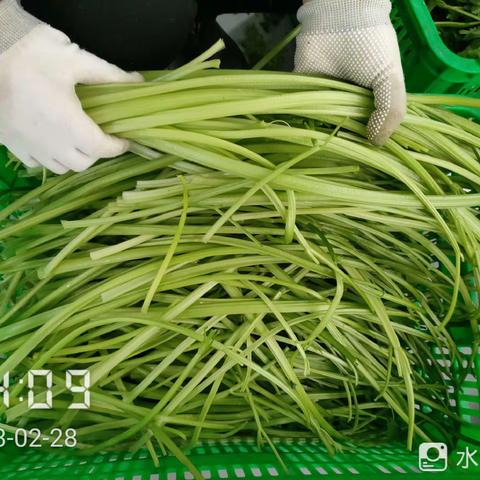 EA211餐厅异物挑选2月28日