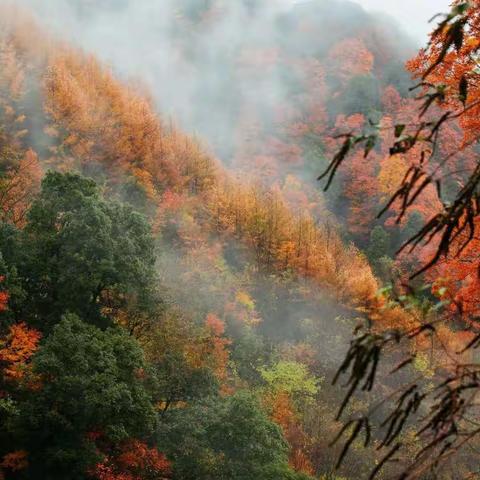 郑州市第二初级中学八十班家校共读分享第45期