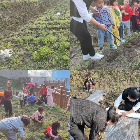 《乐植亲种  健康成长》—石场苗族彝族乡中心幼儿园植树节种植活动