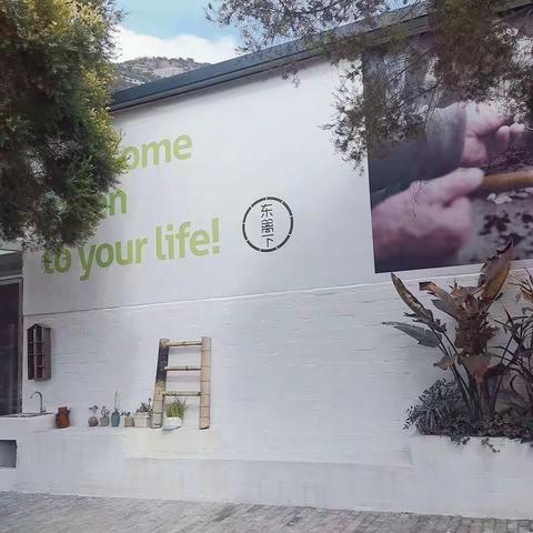 迟迟春日，陌上花已开，想新衣，春来！