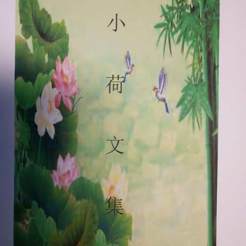 小荷文集教学版（第六期------窗外）