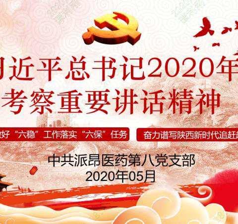 中共派昂第八党支部学习《习近平总书记2020来陕考察重要讲话精神》