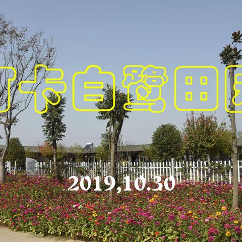 老牛的美篇