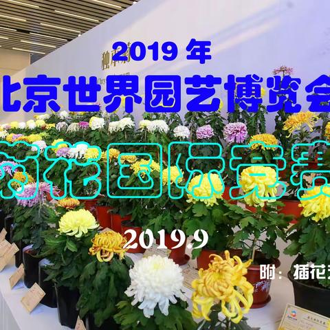老牛的美篇