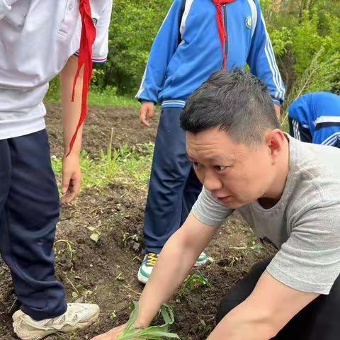 八小四年一班不识五谷的孩子们栽小苗