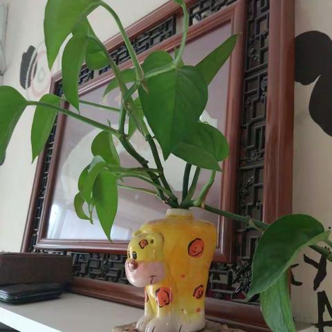难得放学归来早，忙趁悠闲浇浇花