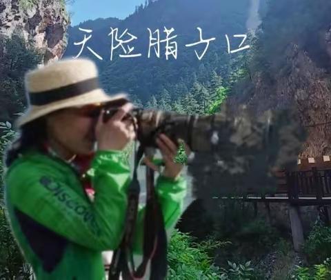 甘南行～腊子口，若尔盖花湖，聆听红色岁月之歌