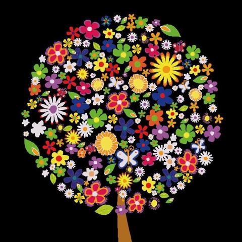 临沂国际幼儿园中四班——春天的鲜花💐