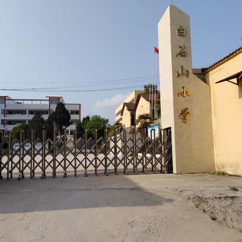 张家畈镇白石山小学“安全四月行”活动剪影