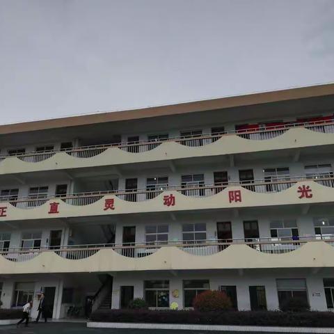 三年阳光，石桥伴我