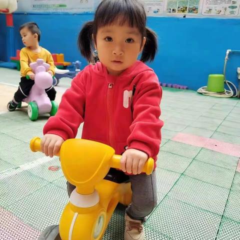 【育蕾幼教—育蕾幼儿园】2023年春季学期小小班陈芷琪个人成长记录！