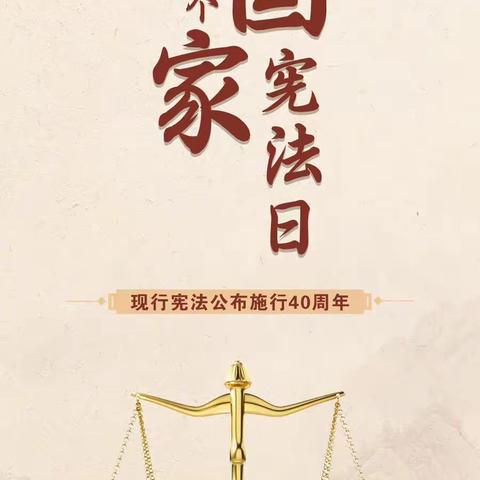 “宪”在行动——与法同行