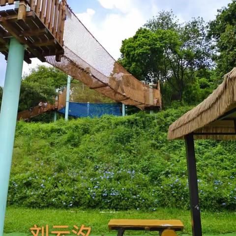 礼仁外国语学校5 0 2班德育作业