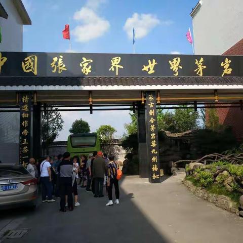 中国张家界，世界茅岩莓