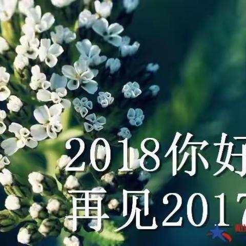 再见2017你好2018