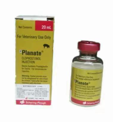 卜安得Planate——仔猪们共同的愿景