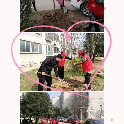 行者街道石油生活城社区开展“喜迎十四运，共建绿色家园”3.12植树活动