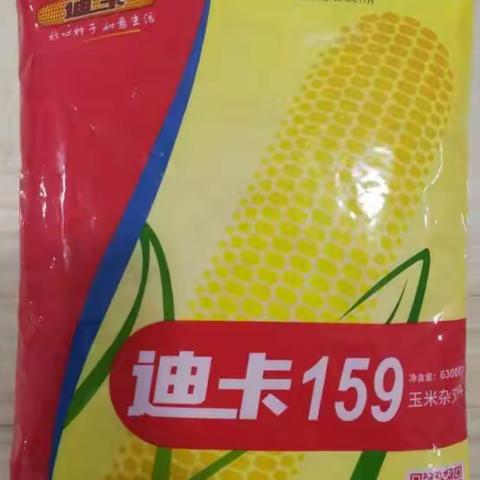 2020年主推玉米新品种★迪卡159★隆重登场