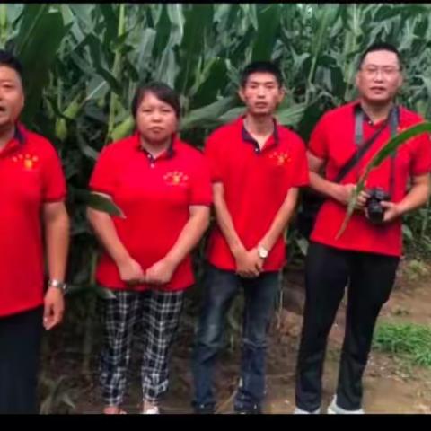 金祥丰农资后续品种强劲