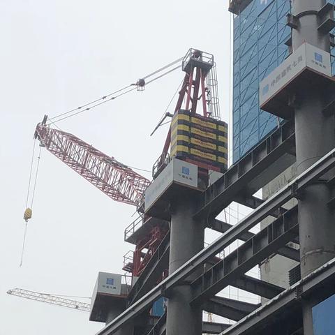 【大兴建设局】荣民金融中心动臂塔机机体提升专家论证会