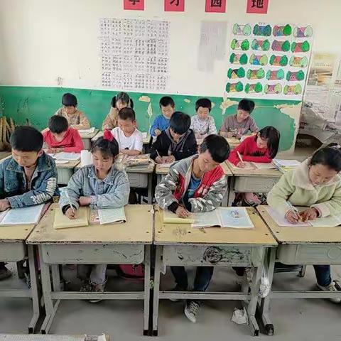 多彩课后延时，让大明学校更有温度