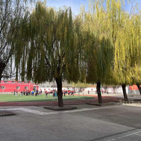 享受数学之美，捕捉“植树”之光——潞州区实验小学数学教研活动《植树问题2》