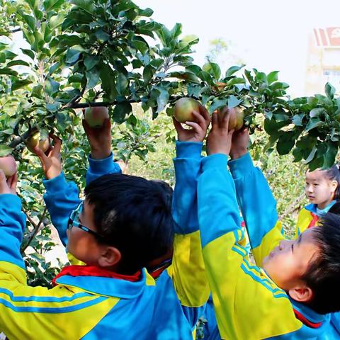 新春送祝福   万事尽可期——牡丹区第二实验小学给您拜年了