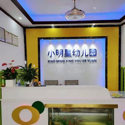 小明星幼儿园公开课